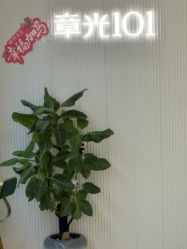 -章光101防脱养发荟