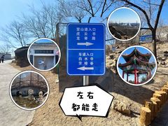 -白水寺森林公园
