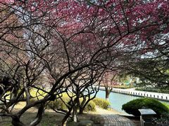 -白塘生态植物园