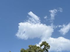 -问山MountQuest攀岩馆