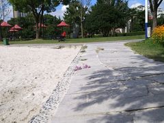 -大宁郁金香公园-停车场