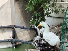-团结湖公园