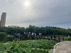 -前关湿地公园