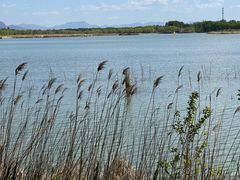 -野鸭湖国家湿地公园