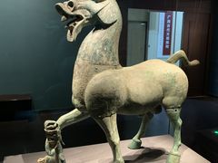 -广西壮族自治区博物馆