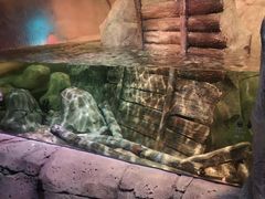 -沈阳海洋探索中心