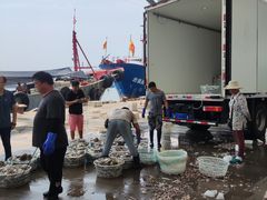-吕四渔港码头海鲜餐厅