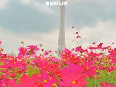 -海心沙亚运公园