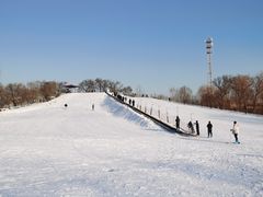 -东方巨龟苑景区