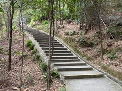 -羚羊峡古栈道森林公园