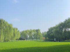 -北坞公园