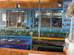 -蓝湾碧波·老字号·疍家非遗海上餐厅