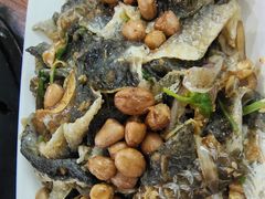 -章记正宗南岗鱼蛋火锅