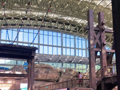 -杭州开元森泊度假乐园