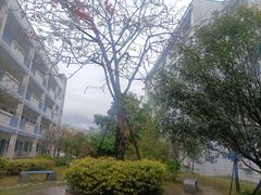 -福州第二十中学