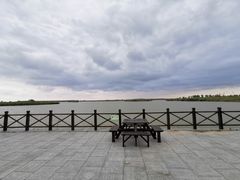 -盐城丹顶鹤湿地生态旅游区
