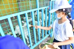 -小蜜蜂农场(凯德七宝购物广场店)