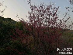 -飞凤山奥体公园