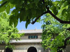 -灵谷景区