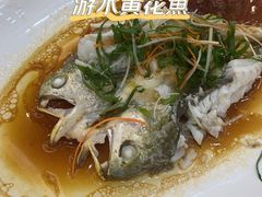-轩记海鲜餐厅·四十五年老字号·经典粤菜(西区彩虹店)