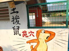 -南丹山森林王国