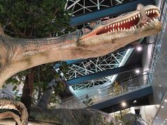 -湖南省地质博物馆