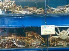 -蚝专家(北滘店)