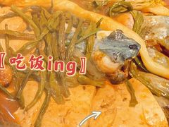 -白洋淀灶台鱼(名佳花园店)