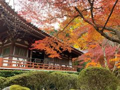 -醍醐寺