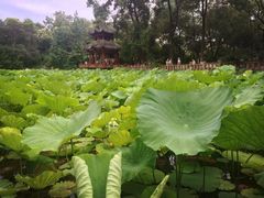 -房湖公园