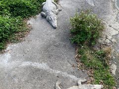 -广州长隆飞鸟乐园