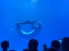 -多彩贵州城极地海洋世界