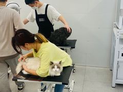 -comecome来吧宠物(奥克斯中心店)