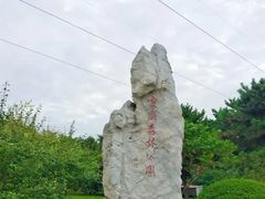 -云岗森林公园