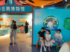 -海合安武汉极地海洋公园