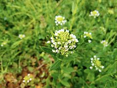 -好运来农家菜(吉林路店)