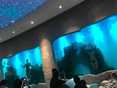 -瑞德姆美人鱼海底演艺主题餐厅(亚龙湾店)