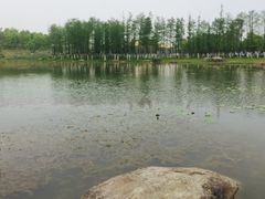 -滆湖低碳生态公园