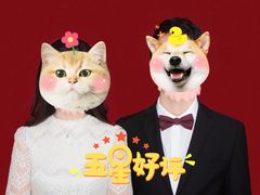 -真我樣照相馆·身份证·证件照·外拍(环球港店)