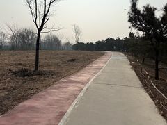 -绿堤公园