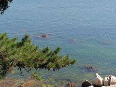 -养马岛旅游度假区