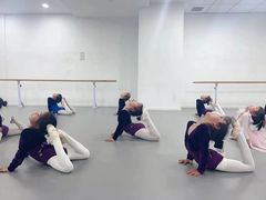 -西安小天鹅艺术团(金花路校区)