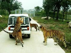 -西安秦岭野生动物园