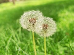 -平安里(地铁站)