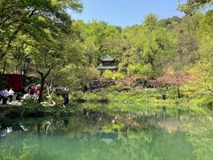 -茶颜悦色(岳麓山顶店)