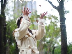 -重庆彩云湖湿地公园