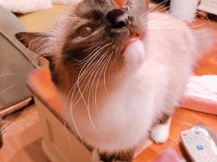 -小朱麻辣串(益民街店)