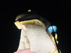 -大金鹰园