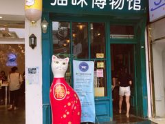 -猫咪博物馆(顶澳仔猫街店)