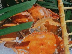 -西安高新希尔顿酒店·咖啡露台西餐厅